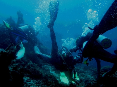 snorkeling or diving great barrier reef