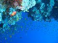 The Blue Hole to Bellsscuba diving site